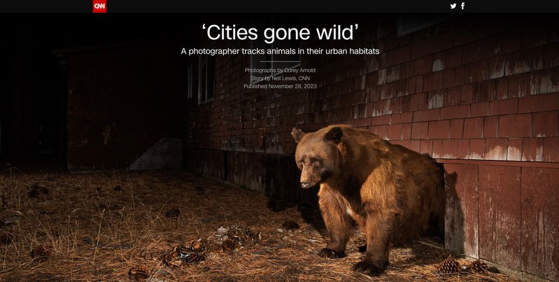 24c3f1a7-e9f9-44a4-91a0-67d62d38514a